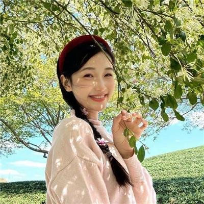 追爱家族